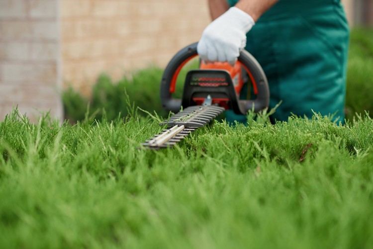 elektronické nožnice na nákup, tipy na strihanie živého plota