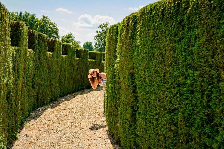 Zákon o strihaní živého plotu, kedy je možné strihať živé ploty