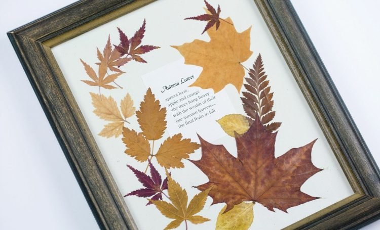 herbár-vytvorte-nástenná maľba-dizajn-jesenné lístie-stena-dekorácia