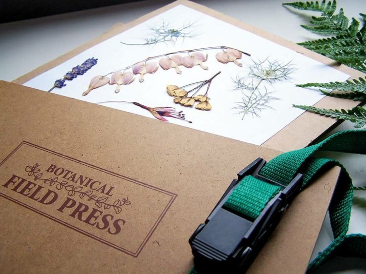 herbár-vytvorte-album-zbierku-album-vytvorte-odrody-rastliny