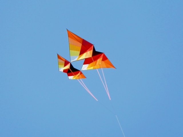 Tkanina s geometrickými figúrkami jesenného draka Vtáčie geometrické obrazce Nápady na remeselné látky