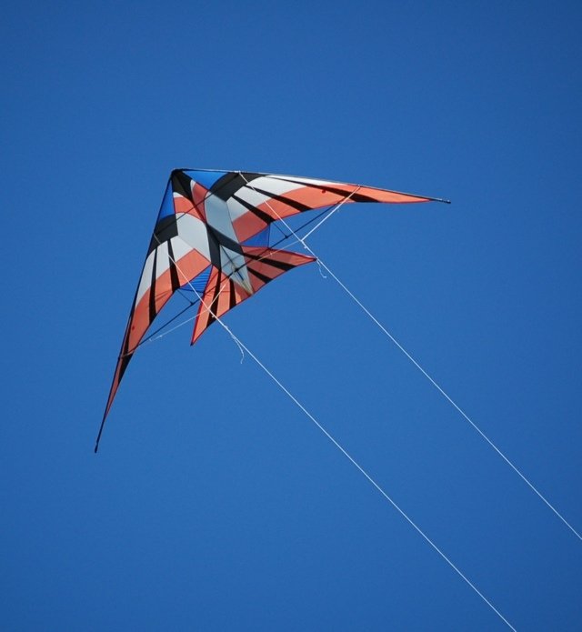 Krycia moderná tkanina v tvare draka Doplňte si modernú tkaninu Vogel Form sami