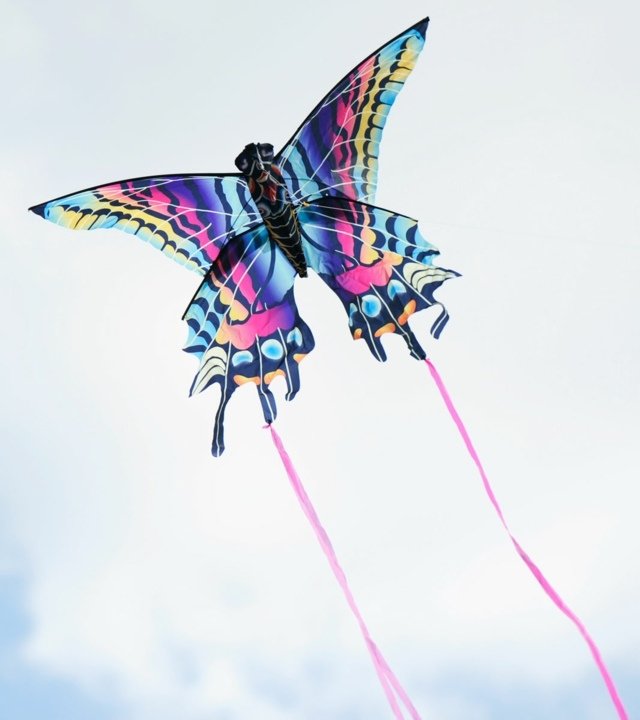 Jesenné drakové remeslo motýľová tkanina Pokyny na ručné práce týkajúce sa motýľovej tkaniny