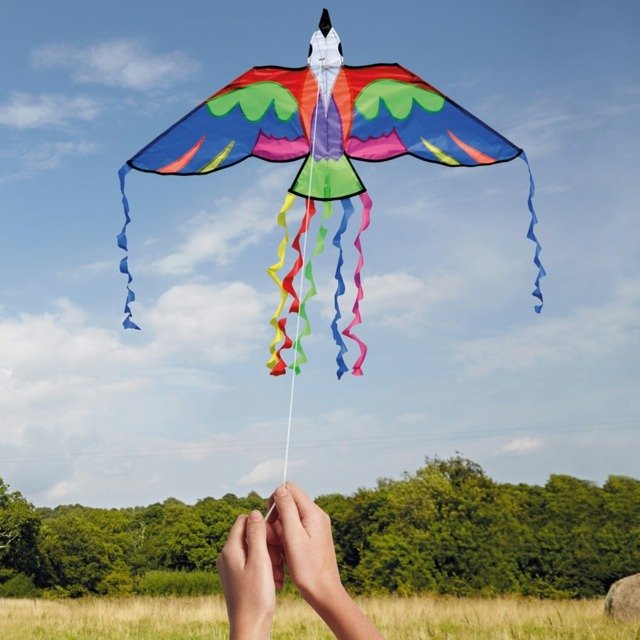 Návrhy jesenných remesiel pre vtáčieho draka Kite jesenné remeselné nápady s deťmi