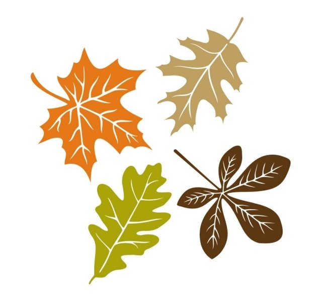 Nápady na jesennú výzdobu pripojte vystrihnutú šablónu