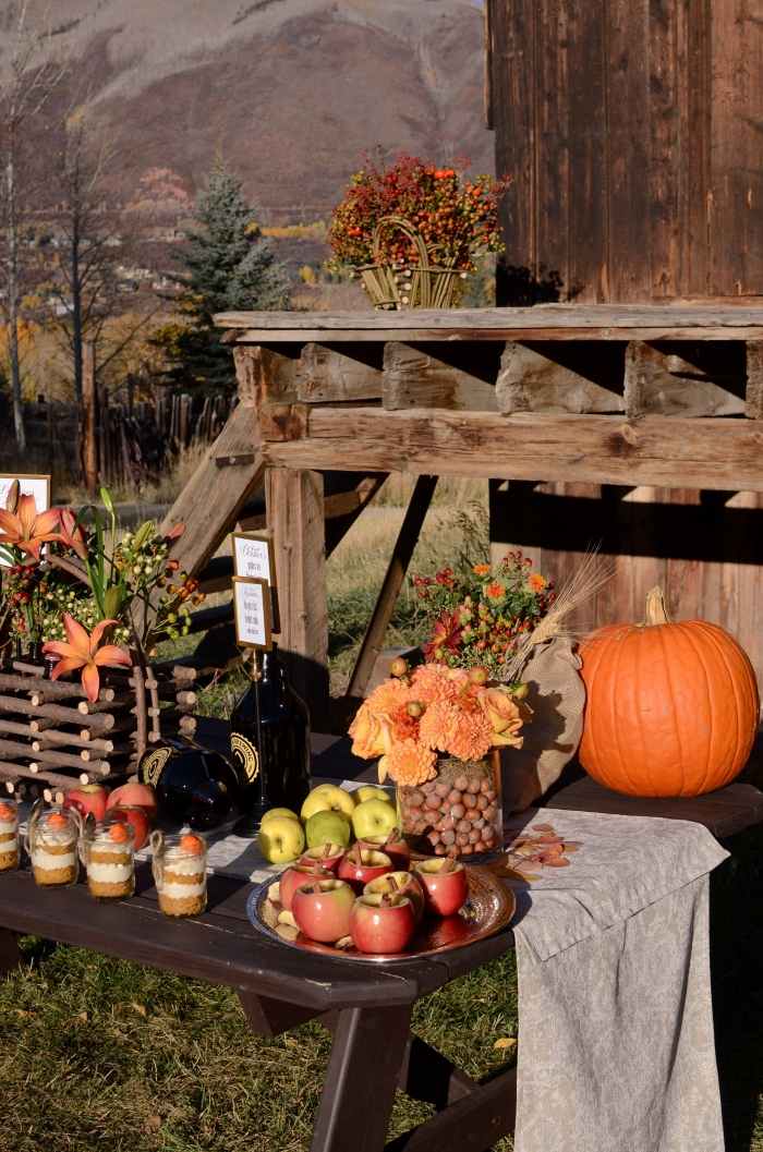 jeseň-svadba-dekorácia-zadarmo-bufet-stôl-tekvica-jablká-škorica-ľalie