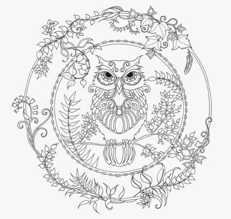 nádherná sova na vyplnenie ako zaujímavá mandala mandaly-jesenná tlač-farbenie-deti-omaľovánky-sova-uhu-les