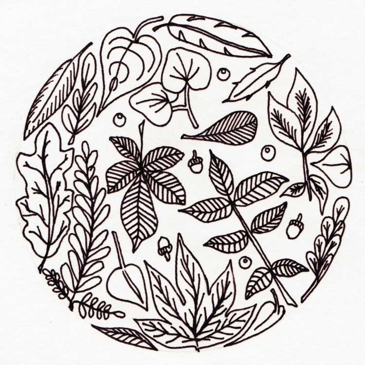 Jesenná mandala s rôznymi listami a žaludmi mandaly-jesenná tlač-farbenie-deti-omaľovánky-listy-stromy