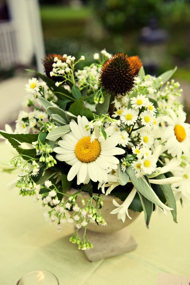 recepcia dekor margarita zelená biela sušená