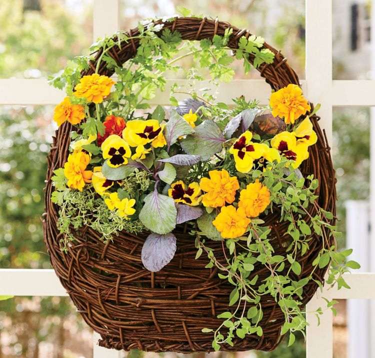 Jesenné kvety pre semafor prehľad odrôd a tipov