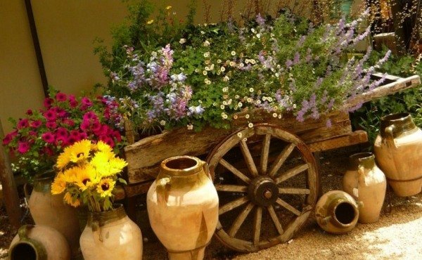 jesenné kvety vozík záhradné kvetináče slnečnice