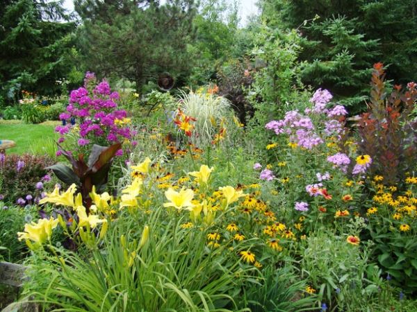 jesenné rastliny október žltá fialová záhrada