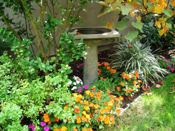 jesenné záhradné trvalky stromy kry oranžové kvety