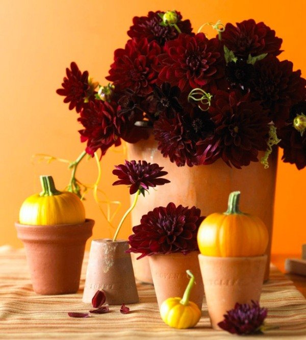 Pivoňka-kytica-dekorácia-tekvice-sadzače