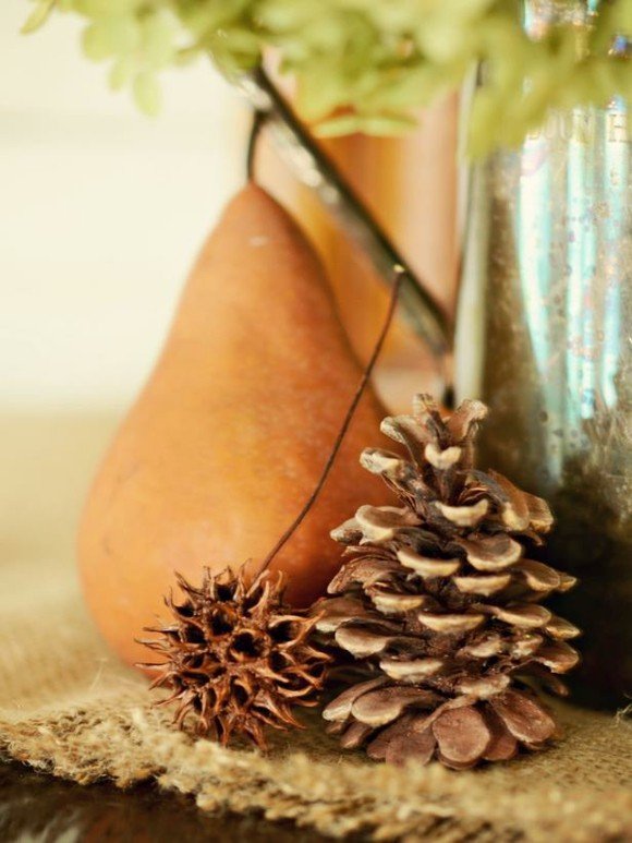 Jesenné nápady na dekoráciu borovicové šišky Jesenné dekorácie-nápady-Deň vďakyvzdania-šiška