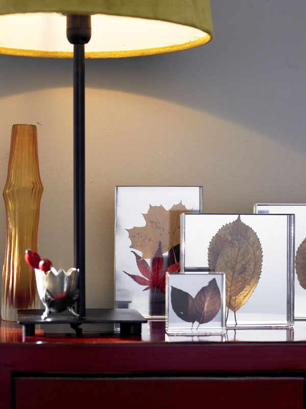 krásne nápady na jesenné dekorácie olistenie krásne-jesenné-dekorácie-nápady-zeleň