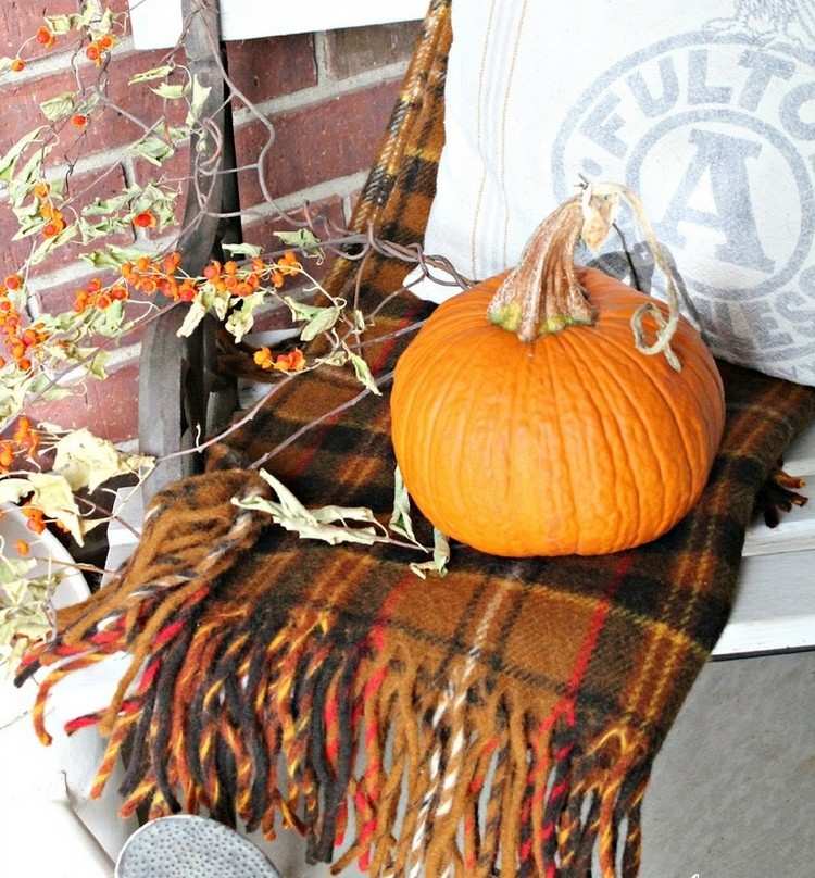Hnedá deka z ginghamovej vlny, bobuľové vetvy a stredne veľká tekvica Nápady na jesennú výzdobu doma-tekvicové-vlnené-deky-hnedo-bobuľové konáre