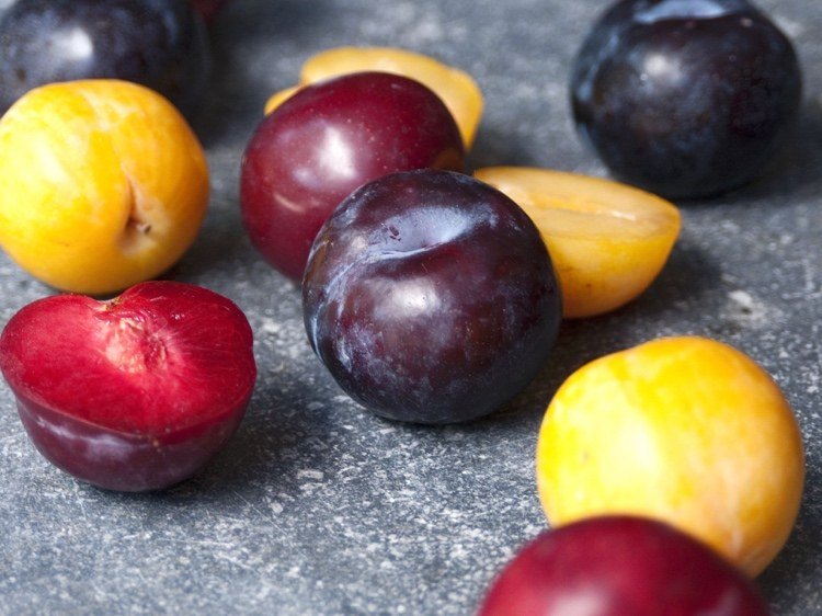 Slivky môžu mať rôzne farby a sú šťavnatejšie