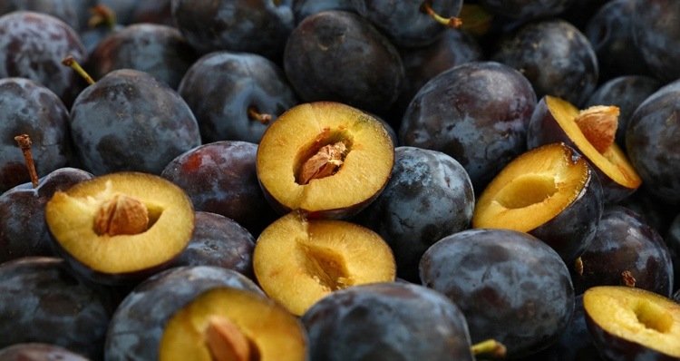 Tmavomodrá slivka ľahko vykôstkovateľná