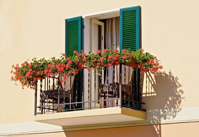 rastliny na balkón nádherne slnečná terasa ružová