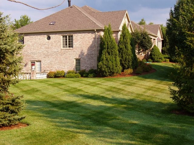 tipy na outdoorové nápady pre dom strom starostlivosti o trávnik