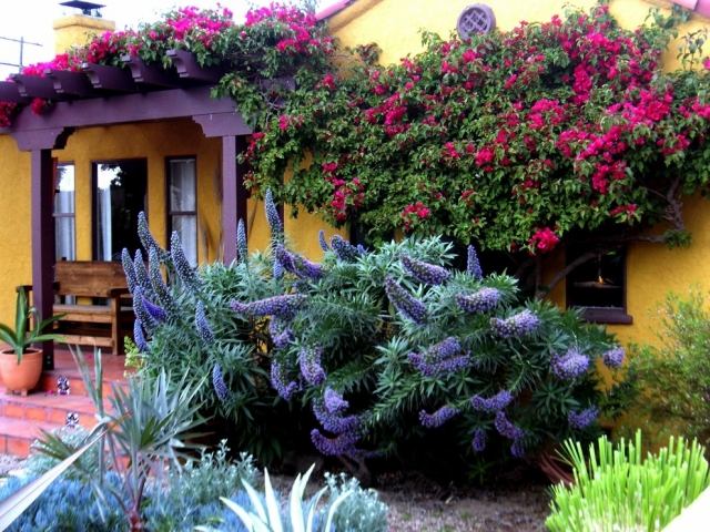 Tipy na starostlivosť o rastliny v útulnej, príjemnej farbe