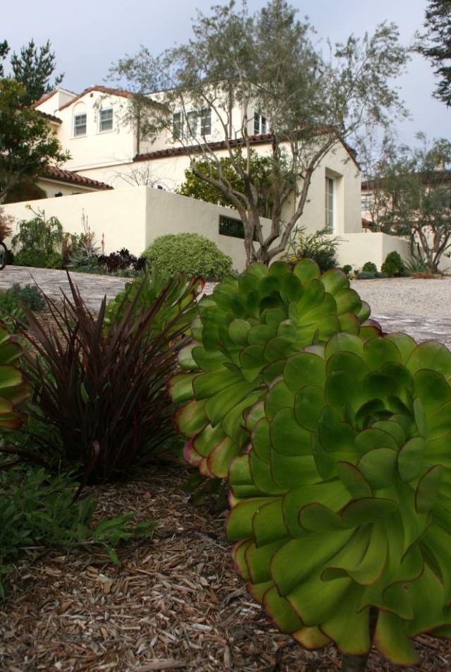 Tipy na starostlivosť o rastliny Informácie o správnej starostlivosti o rastliny