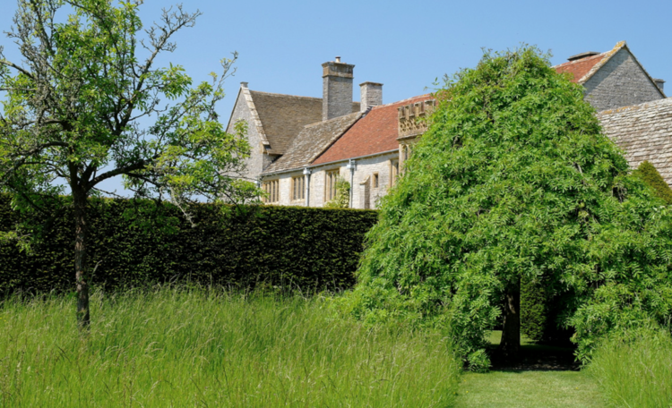 Visiace stromy v záhrade popol-záhradná cesta-zastrešenie-nápad-živý plot
