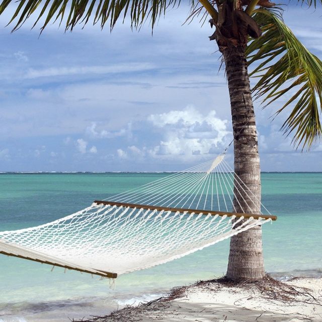 Hammock Designs Vacation Island Ocean Beach