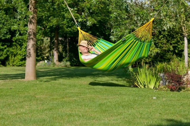 Vzory príroda zelená dosiahnuť harmóniu spokojný človek