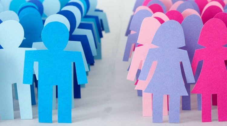 Pohlavia detí sa vytvárajú náhodne podľa toho, ktorý chromozóm sa dedí po otcovi