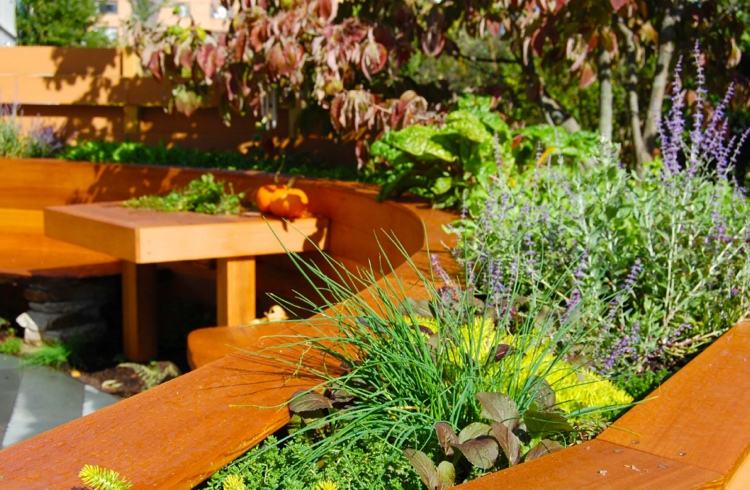 Ktorá kvitne ako obrazovka na ochranu súkromia na terase a záhrade