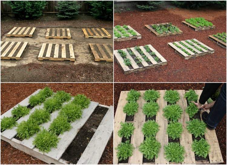 vyvýšená posteľ-paleta-horizontálny-šalát-nápad