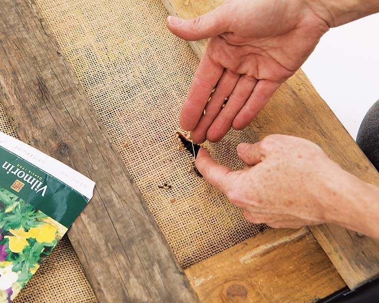 vyvýšené postele-palety-stavať-vertikálne-semená-rastlina