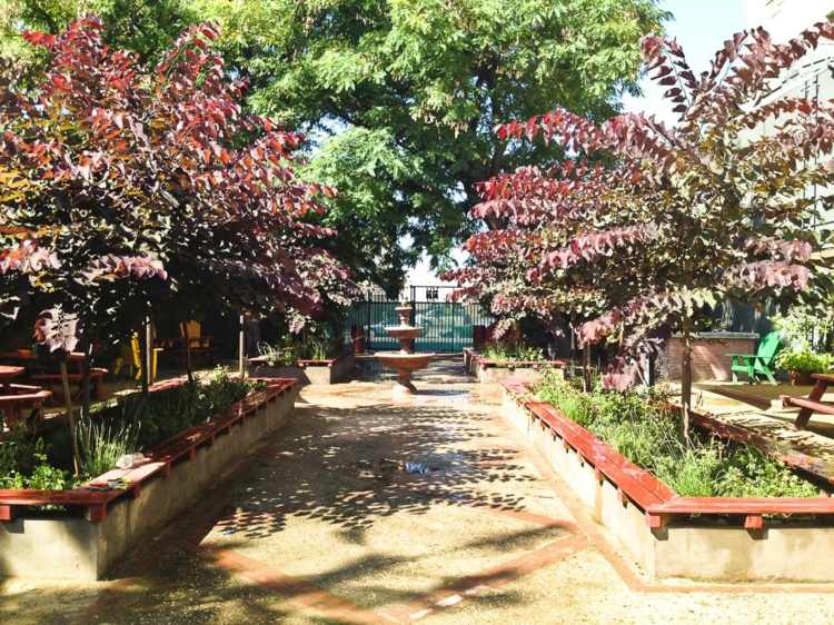 Vysaďte vyvýšené záhony so stromami Vyvýšená posteľ-stavať-záhrada-lavička