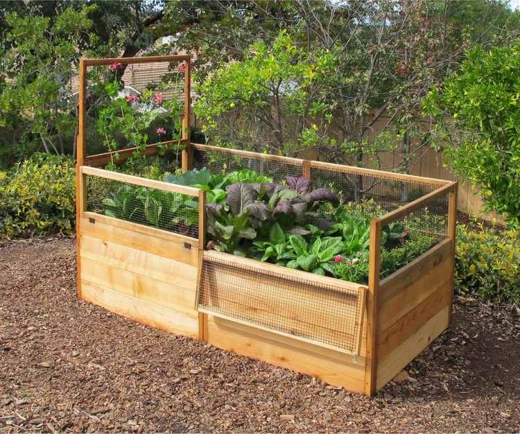Vyvýšené postele-stavba-vlastná-drevo-mriežka-vetrolam-rastliny