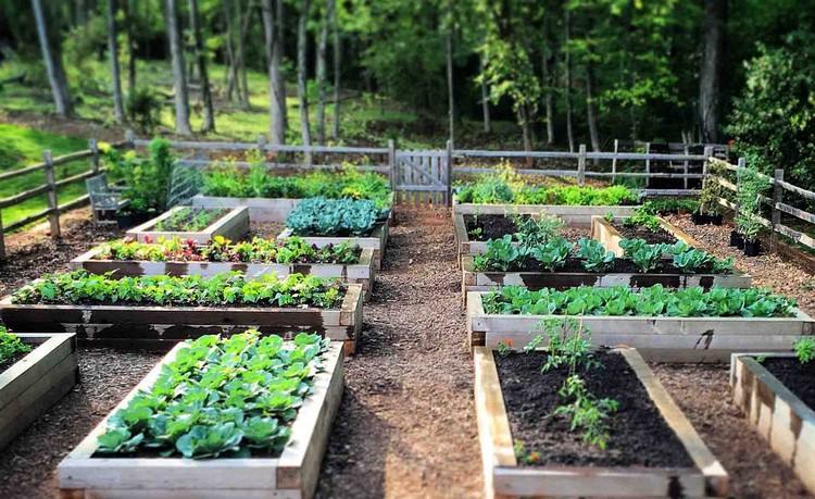 Vyvýšená posteľ-vlastná konštrukcia-vyvýšené postele-stavba-návodu-záhradná regulácia
