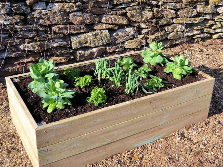 Vybudujte si vlastnú vyvýšenú posteľ správne pestovanú zeleninu
