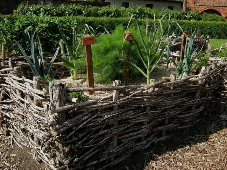 vyvýšené záhony v záhrade vŕbový prút podporujú rastlinné zeleniny