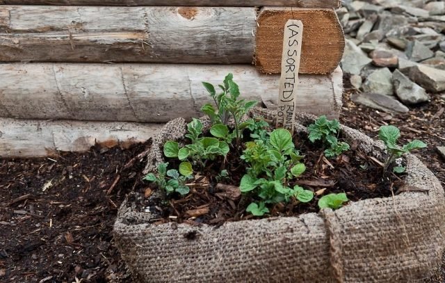 vyvýšený záhon kvety zelenina jutové vrece stavať
