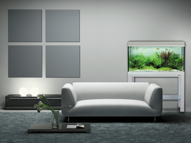 Nano Aquarium Výhoda rýb