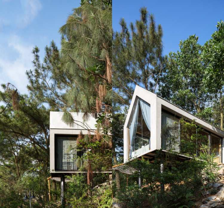 drevená stena budova pohľad fasáda les