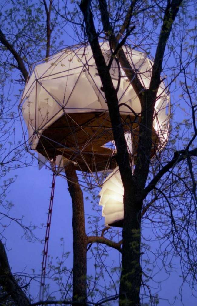 List domčeka na strome spí v lese