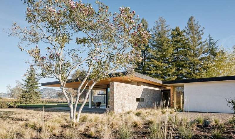 Drevo a prírodný kameň Baum-Wuestengarten-create-Ziergraeser