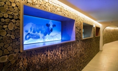 moderná obývacia izba drevené stenové panely akvárium Drevené stenové panely - nápady na rustikálny nábytok