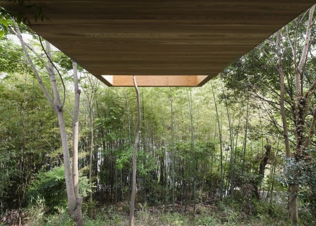 To umožňuje stromom rásť voľne prevýšený objem domu