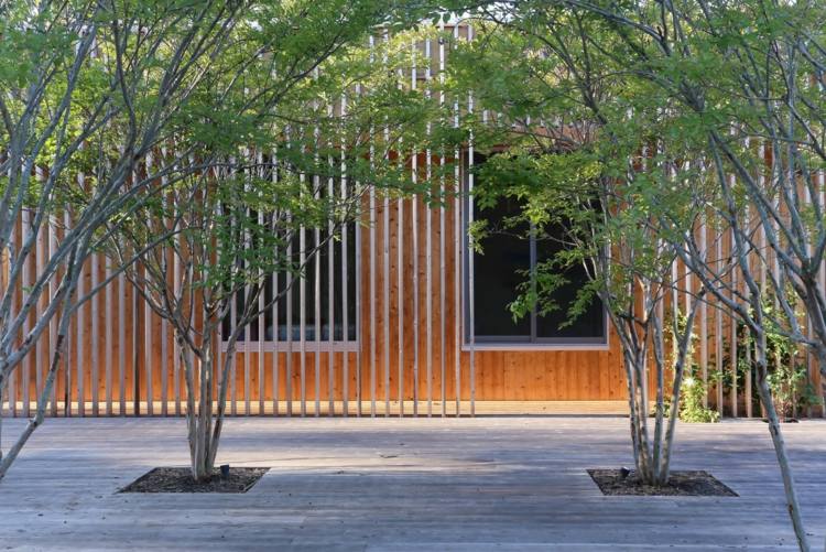 drevené lamely obrazovka na ochranu súkromia stromy-záhrada-terénne úpravy-príroda