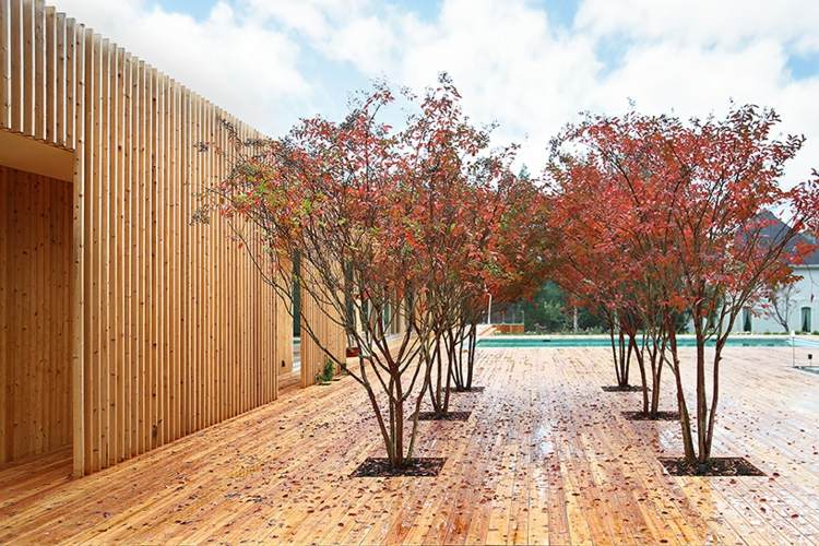 drevené lamely-ochrana súkromia-terasa-výsadba-stromy-tienidlo-dekorácia