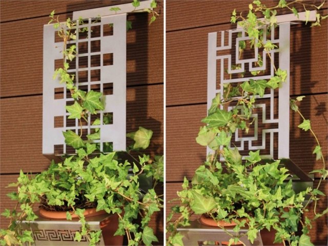 drevené panely vonkajšia stena držiak rastlín brečtan kovové treláže