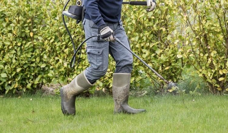 Bojujte so šťavou z dreva octom Zničte burinu domácimi prostriedkami